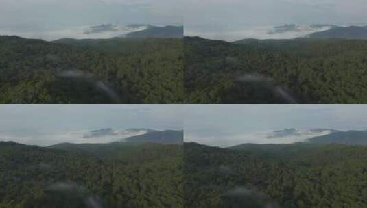 航拍原始森林高清在线视频素材下载