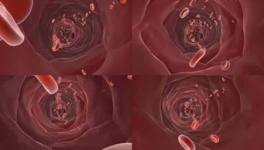 三维血管红细胞流动镜头感强-alpha高清在线视频素材下载