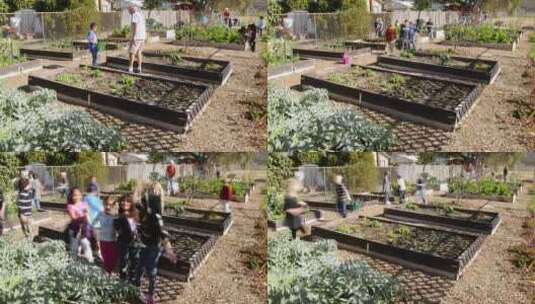 小学志愿者在学校花园里忙碌的延时高清在线视频素材下载