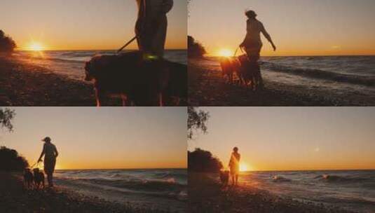 个年轻的女人带着一只狗在安大略湖岸边散步高清在线视频素材下载