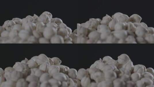 白蔻影棚超微距拍摄LOG高清在线视频素材下载