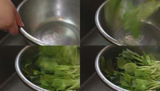 清洗菠菜苗沥水洗菜做菜高清在线视频素材下载