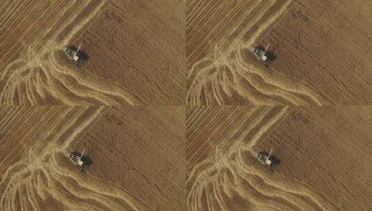 新疆江布拉克田园麦田秋天收割小麦高清在线视频素材下载
