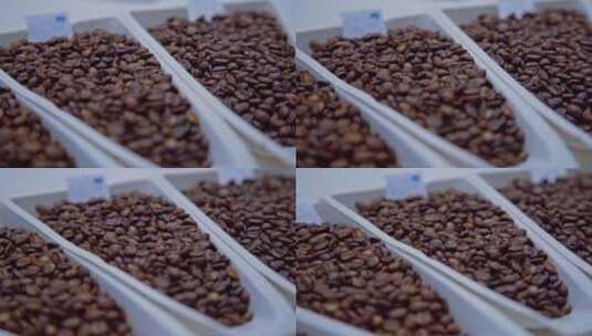 非洲咖啡豆种植园视频高清在线视频素材下载