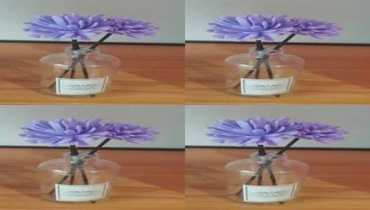 紫色花盆花朵高清在线视频素材下载