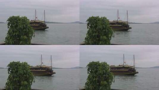 从植物后面出现的船高清在线视频素材下载