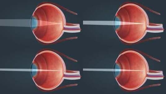 人眼 眼睛 眼球 感觉器官 视觉系统三维动画高清在线视频素材下载