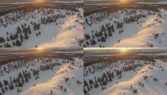 航拍日出日落 积雪覆盖的山峰森林特写高清在线视频素材下载