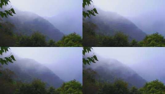 大雾弥漫山林树木G高清在线视频素材下载