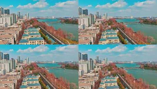 南京玄武湖11高清在线视频素材下载