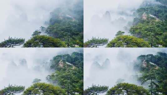 云雾缭绕的山谷迎客松高清在线视频素材下载