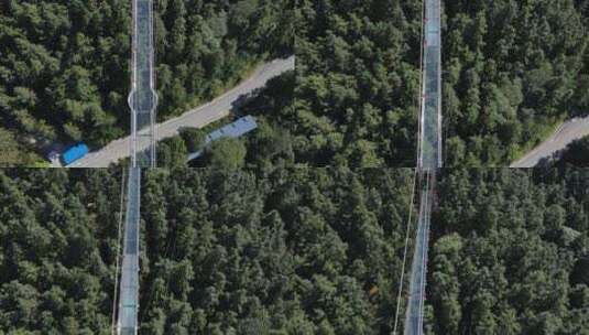 南宁高峰公园森林玻璃栈道高清航拍高清在线视频素材下载