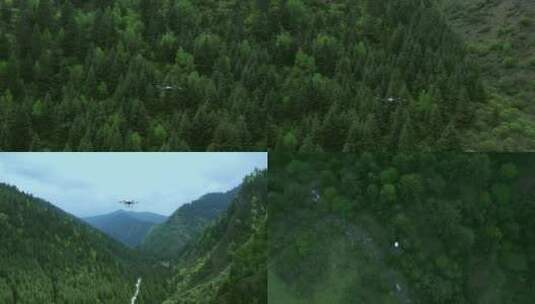 防火部门无人机查看林区情况高清在线视频素材下载