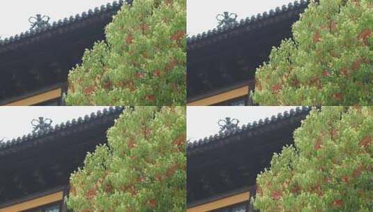 中国风古典建筑窗户寺庙铃铛木窗建筑空镜高清在线视频素材下载