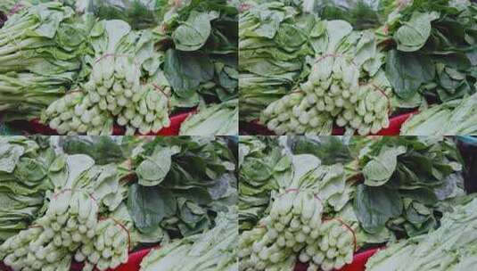 新鲜蔬菜实拍小白菜高清在线视频素材下载