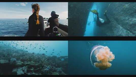 美女坐船潜水章鱼海洋生物海底美景四王岛高清在线视频素材下载