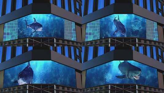 海洋鲸鱼裸眼3d（可定制）高清在线视频素材下载