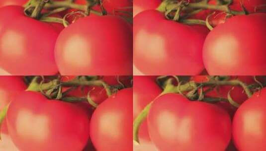 摇摄明亮旋转着的红色西红柿高清在线视频素材下载