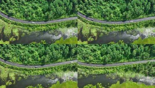 汽车行驶森林公路运输交通高清在线视频素材下载