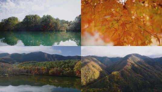 秋天森林香山红叶秋季秋日湖泊瀑布山峰山脉高清在线视频素材下载