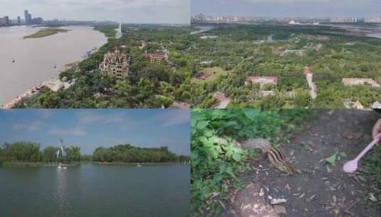 哈尔滨太阳岛公园高清在线视频素材下载