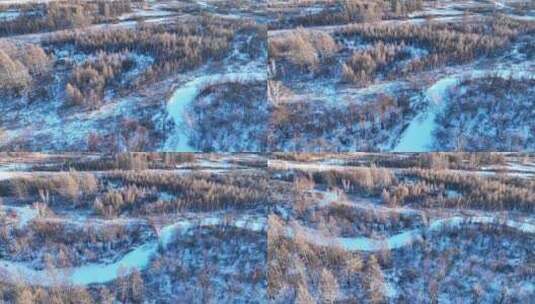 大兴安岭冻土森林湿地雪景高清在线视频素材下载