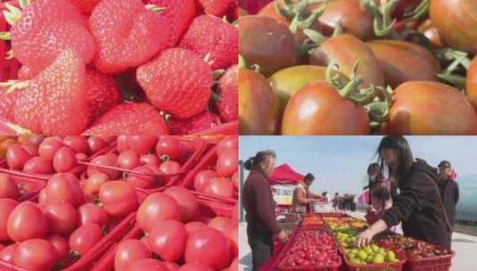 农家乐水果采摘高清在线视频素材下载