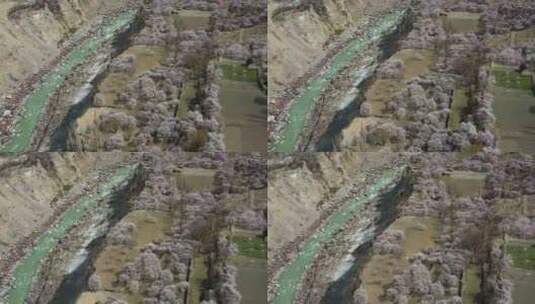 巴基斯坦斯卡杜樱花季节，无人驾驶飞机拍摄高清在线视频素材下载