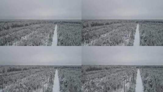 4k风景航拍冬天被大雪覆盖的森林高清在线视频素材下载