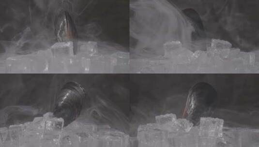 海虹海红冰块烟雾展示特写slog3慢镜头高清在线视频素材下载