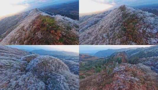 大自然雾凇山顶白雪皑皑高清在线视频素材下载