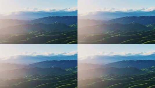 新疆大草原伊犁恰西大草原那拉提高清在线视频素材下载