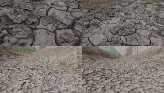干枯的土地 破坏环境 大地干旱缺水高清在线视频素材下载