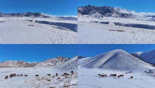 内蒙古阿拉善贺兰山雪景 雪山高清在线视频素材下载