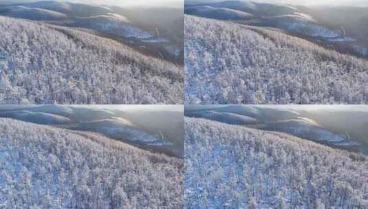 航拍大兴安岭林海雪原风光高清在线视频素材下载