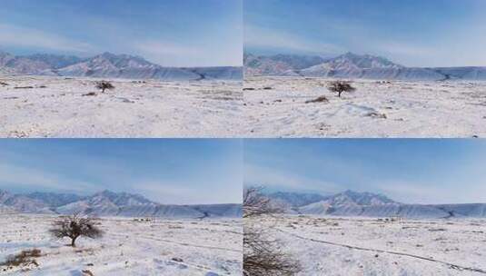 贺兰山雪景 贺兰山西麓雪景4高清在线视频素材下载