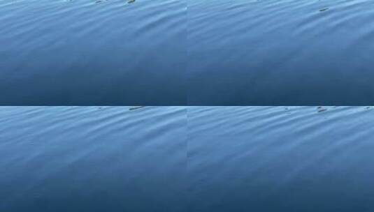 平静的蓝色海水高清在线视频素材下载