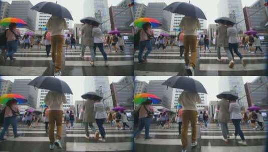 雨中打着伞过马路的人高清在线视频素材下载