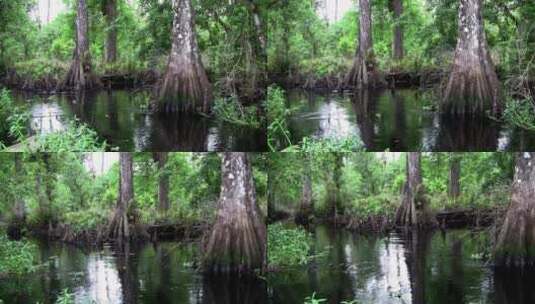 沼泽河流拍摄高清在线视频素材下载