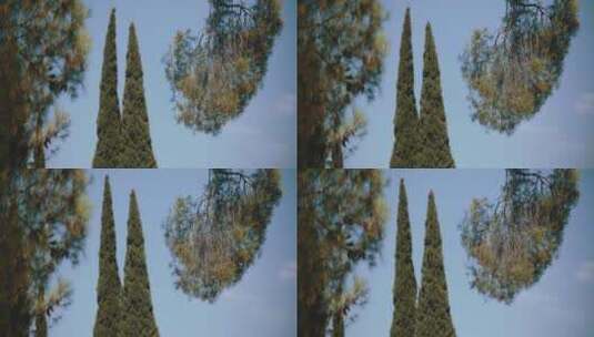 蓝天下的绿树高清在线视频素材下载