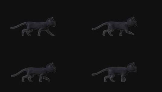 黑猫奔跑带通道高清在线视频素材下载