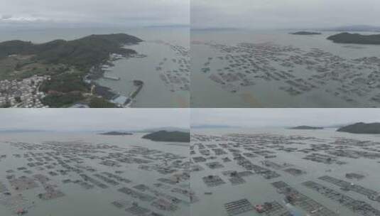 航拍东山岛渔港高清在线视频素材下载