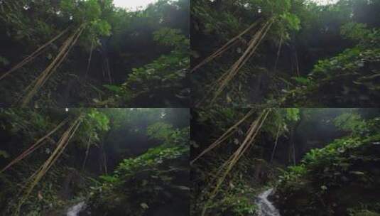 水大自然森林雨滴森林下雨河流山水农业水滴高清在线视频素材下载