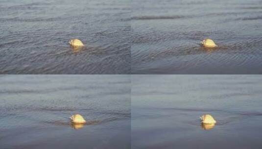 阳光沙滩下海螺贝壳海水浪花海滩沙子夕阳光高清在线视频素材下载
