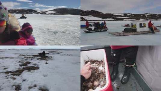北极因纽特家族狩猎雪雁 捡鸟蛋 合集高清在线视频素材下载