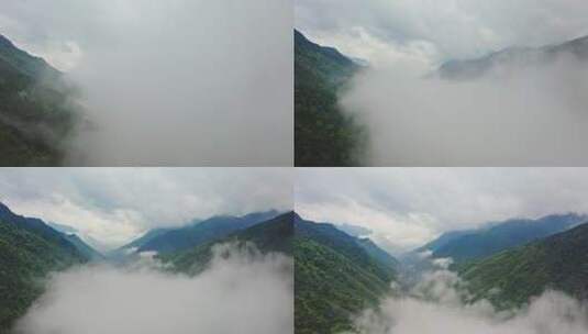 森林公园山脉峡谷从云海里穿出前进高清在线视频素材下载