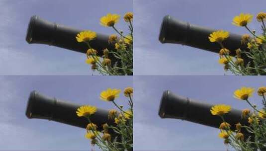 黑色大炮和黄色花架焦点高清在线视频素材下载