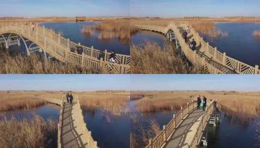 湿地公园景观桥拍照游客高清在线视频素材下载