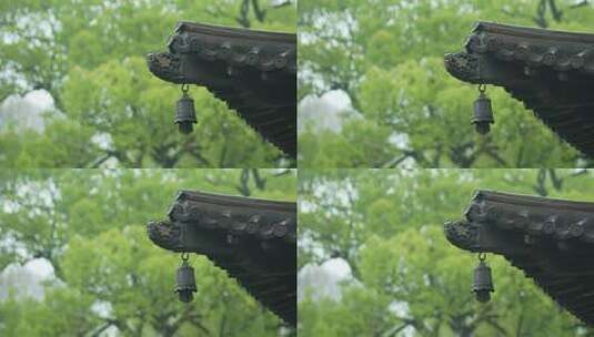 杭州钱王祠春天清明节雨天古建筑自然唯美高清在线视频素材下载