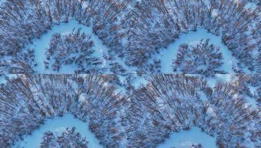 航拍大兴安岭林海雪原风景高清在线视频素材下载